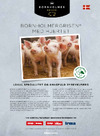 Bornholmergrisen