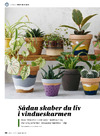 Sådan skaber du liv i vindueskarmen 