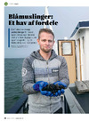 Blåmuslinger: Et hav af fordele