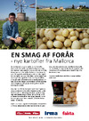 En smag af forår - nye kartofler fra Mallorca