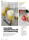 5 geniale isopskrifter til en sommerdag