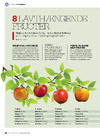 8 lavthængende frugter