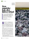 Den smukke kål, der hitter til jul