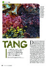 Tang
