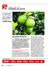 Kan vi få pomelo fra Sydeuropa