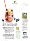 Hvid sangria med hyldeblomstsaft