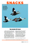 Snacks
