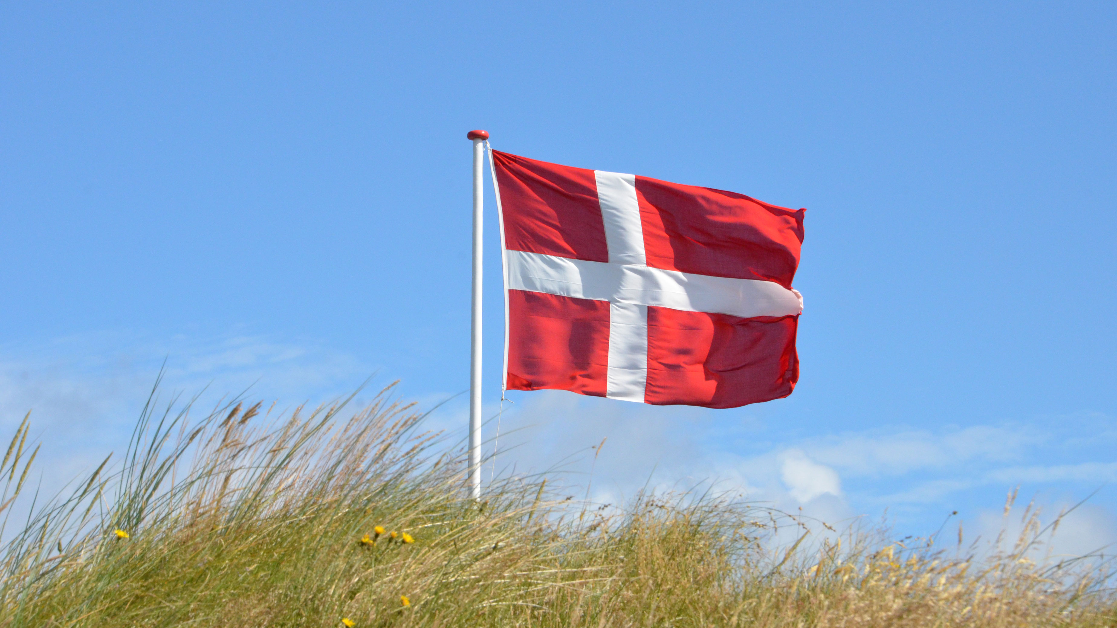 Датчане флаг