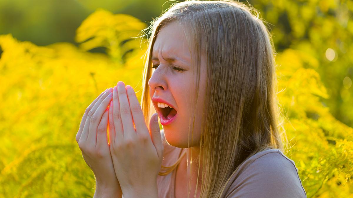 Regeringsforordning Anoi moronic Sådan kommer du allergien i forkøbet | Samvirke
