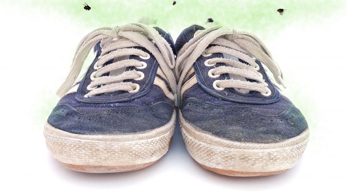 Barnlig Effektivitet protest Sådan gør du sure sko lugtfri | Samvirke