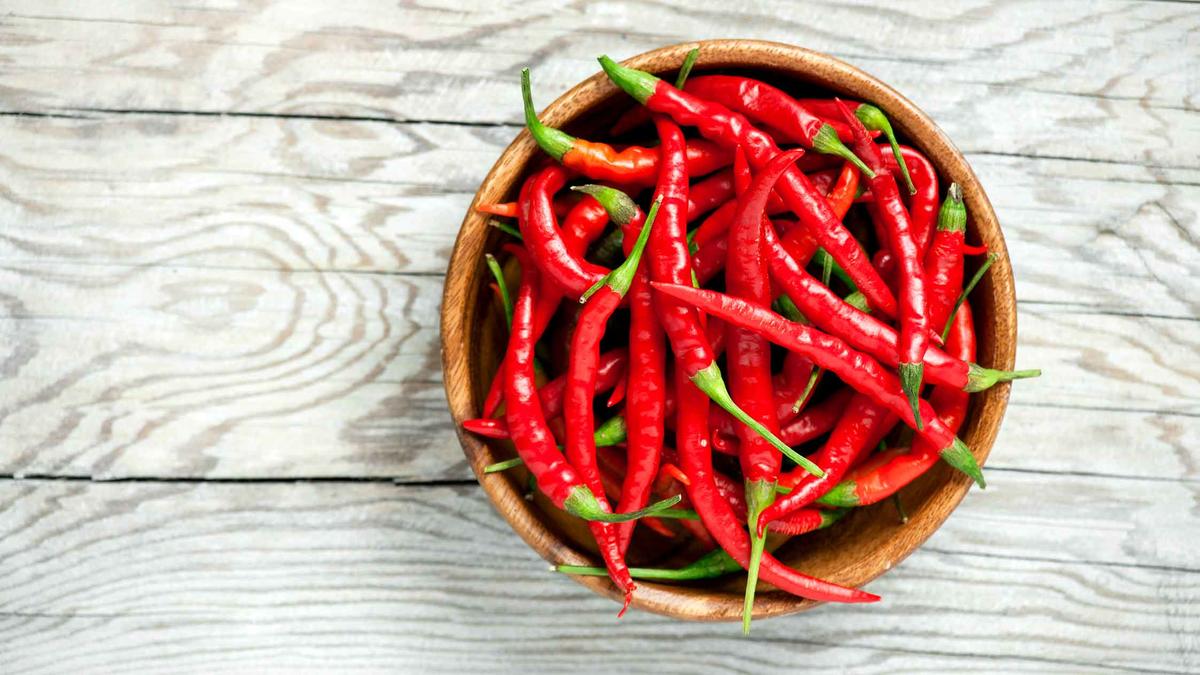 Chili lette vej til af smag | Samvirke