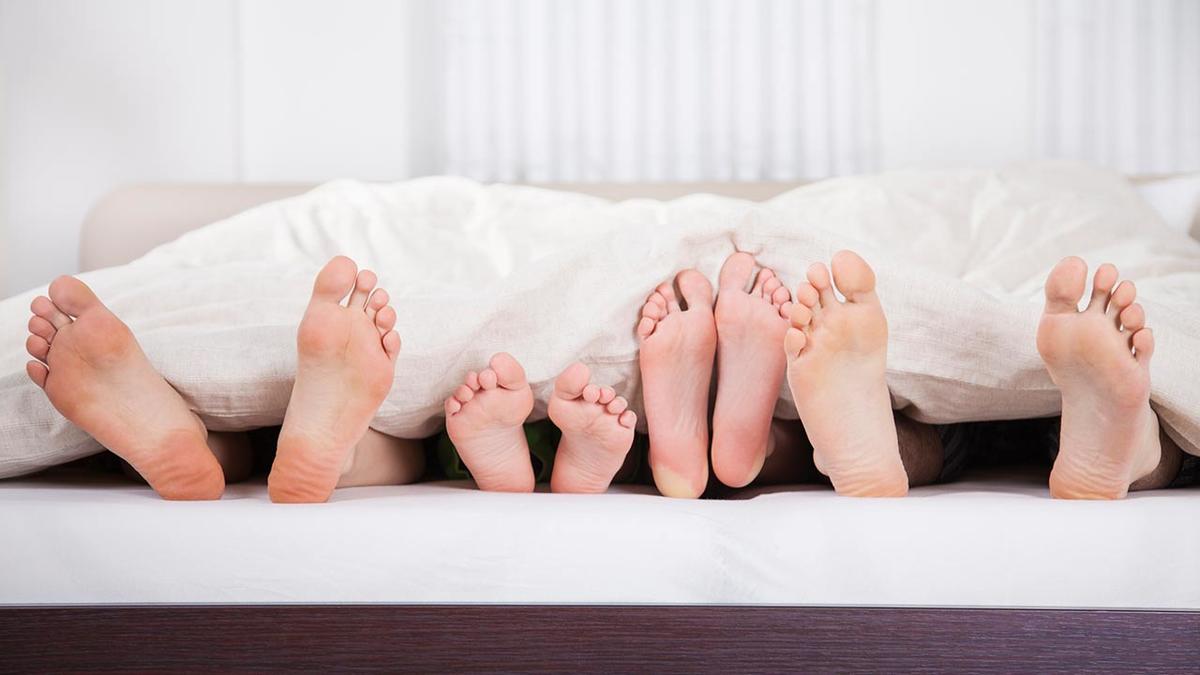 Family feet. Ноги из под одеяла. Семья ноги. Ступни семьи. Стопы семьи под одеялом.