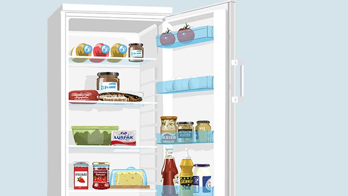 tilgivet Teenager Gæstfrihed 5 gode råd: Sådan finder du det bedste køleskab | Samvirke
