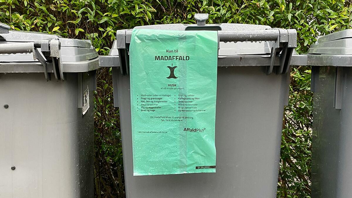 Myre rutine Albany Madaffald: Må jeg bruge en almindelig plastikpose i stedet for den grønne?  | Samvirke