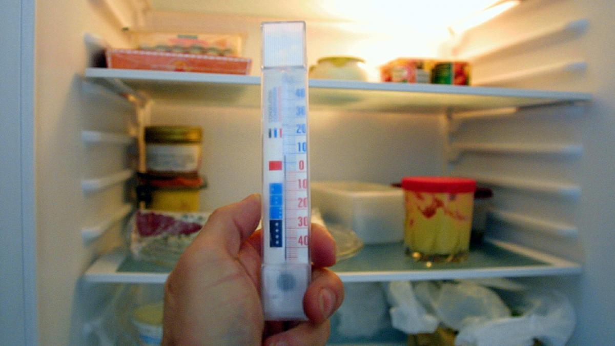 sparer du på strømmen i dit køleskab | Samvirke