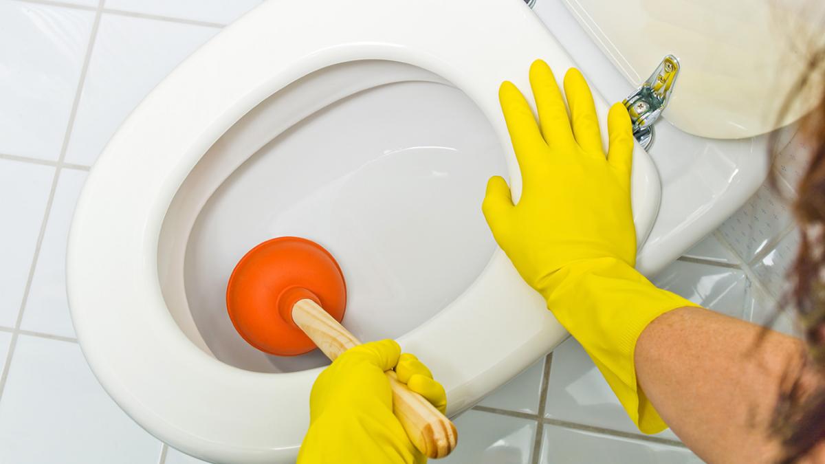 padle Udsigt at styre Hvad gør du, hvis dit toilet er stoppet? | Samvirke