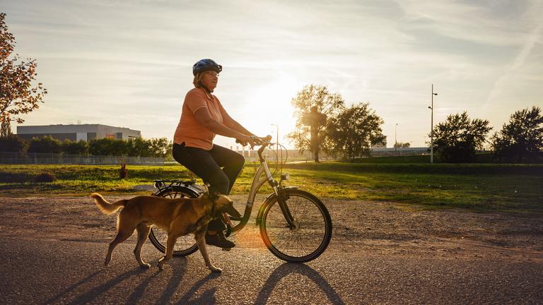 Hvor Hurtigt Må Man Køre På En Motortrafikvej