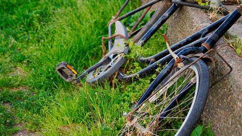 uhøjtidelig hungersnød klamre sig Vores cykelkultur ruster: Se, hvor meget (eller lidt) danskerne cykler | Samvirke uhøjtidelig hungersnød klamre sig Vores cykelkultur ruster: Se, hvor meget (eller lidt) danskerne cykler | Samvirke