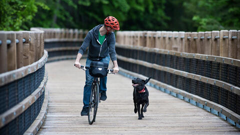 mand cykler med hund i snor