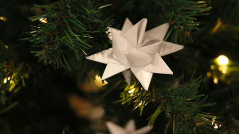 Julestjerne på juletræ