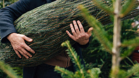 Mand bærer juletræ