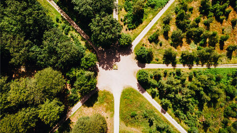 Parforcejagtlandskab 