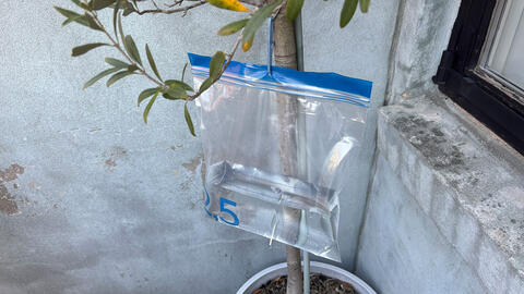 Vandingssystem til planter