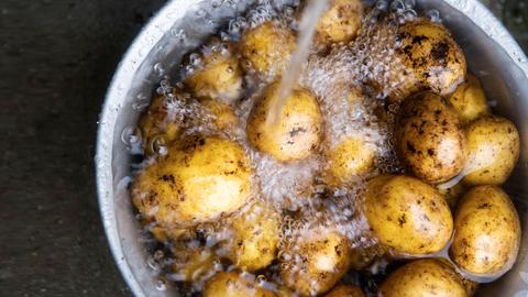 kan du bruge kartofler | Samvirke