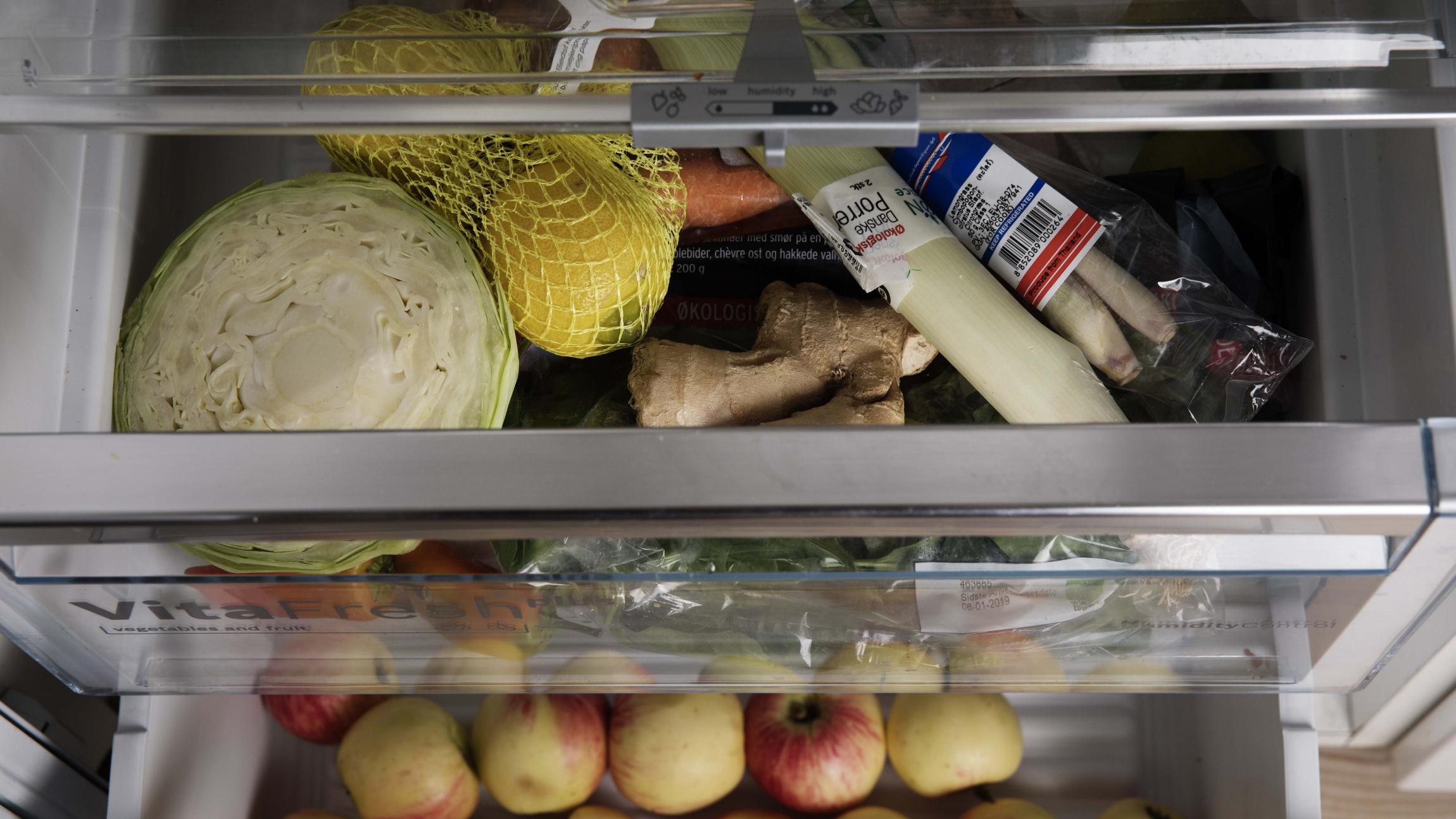 behandle Opførsel regnskyl Det skal du vide om dit køleskab, og sådan passer du på køleskabet |  Samvirke