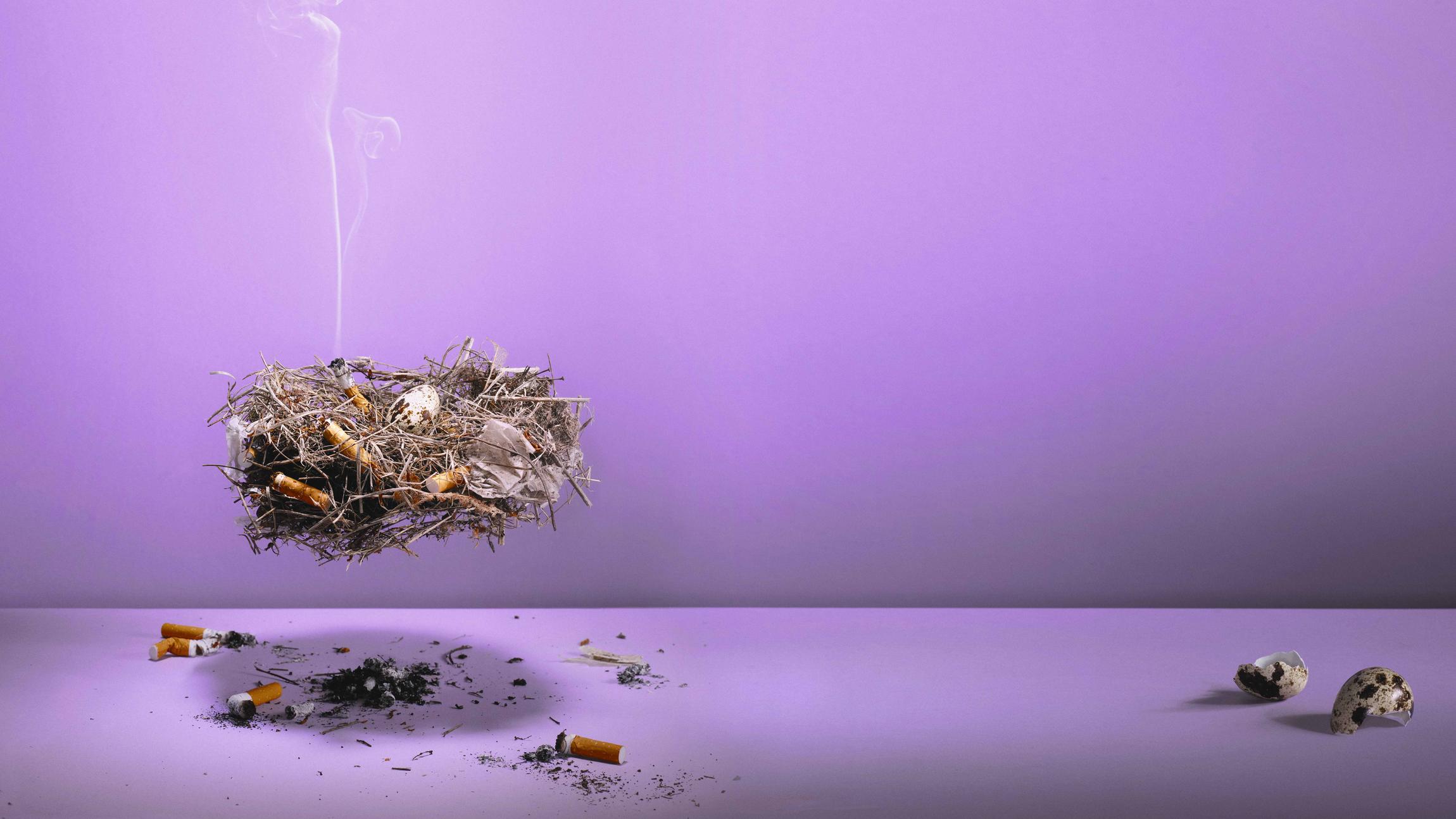 En fuglerede med indbyggede cigaretskod, der ryger 