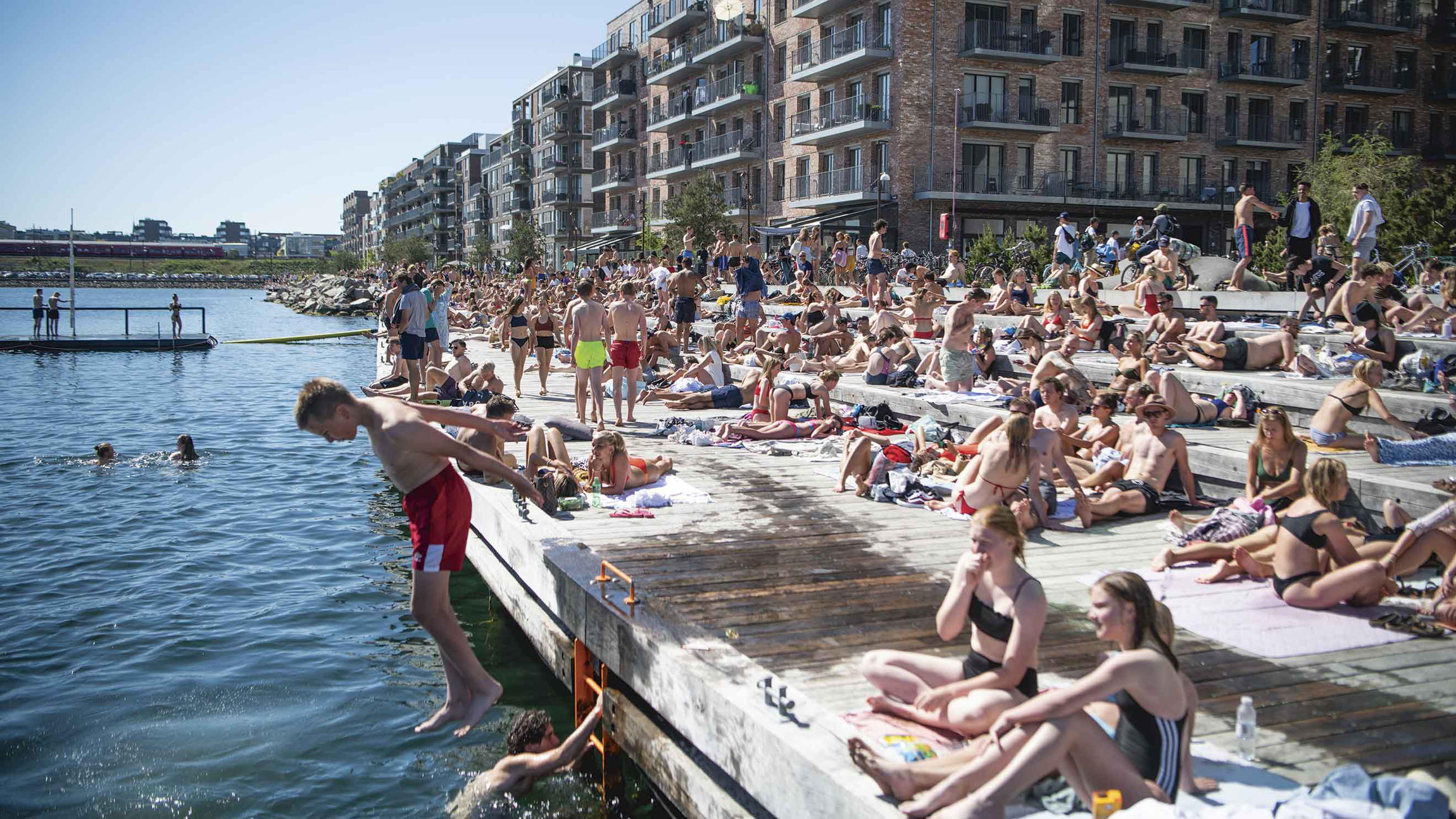 Strande og havnebade: steder du kan hoppe vandet i hovedstadsområdet | Samvirke