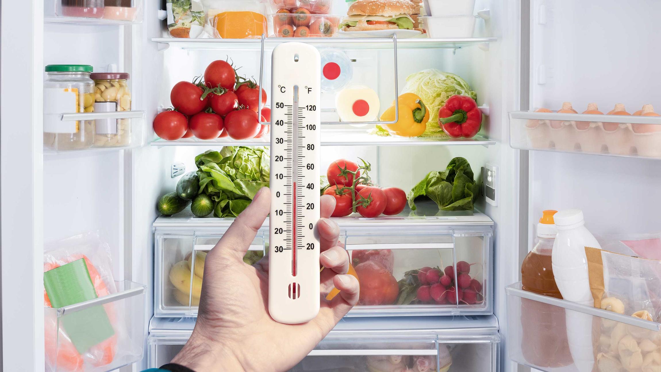 voldtage klatre melodisk Tag temperaturen på dit køleskab, skru ned og giv dine madvarer længere  levetid | Samvirke