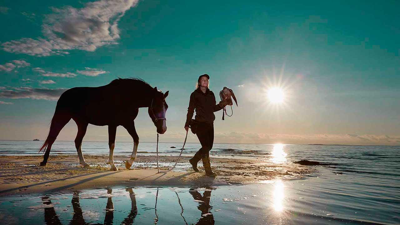 Kvinde med hest og falk på strand