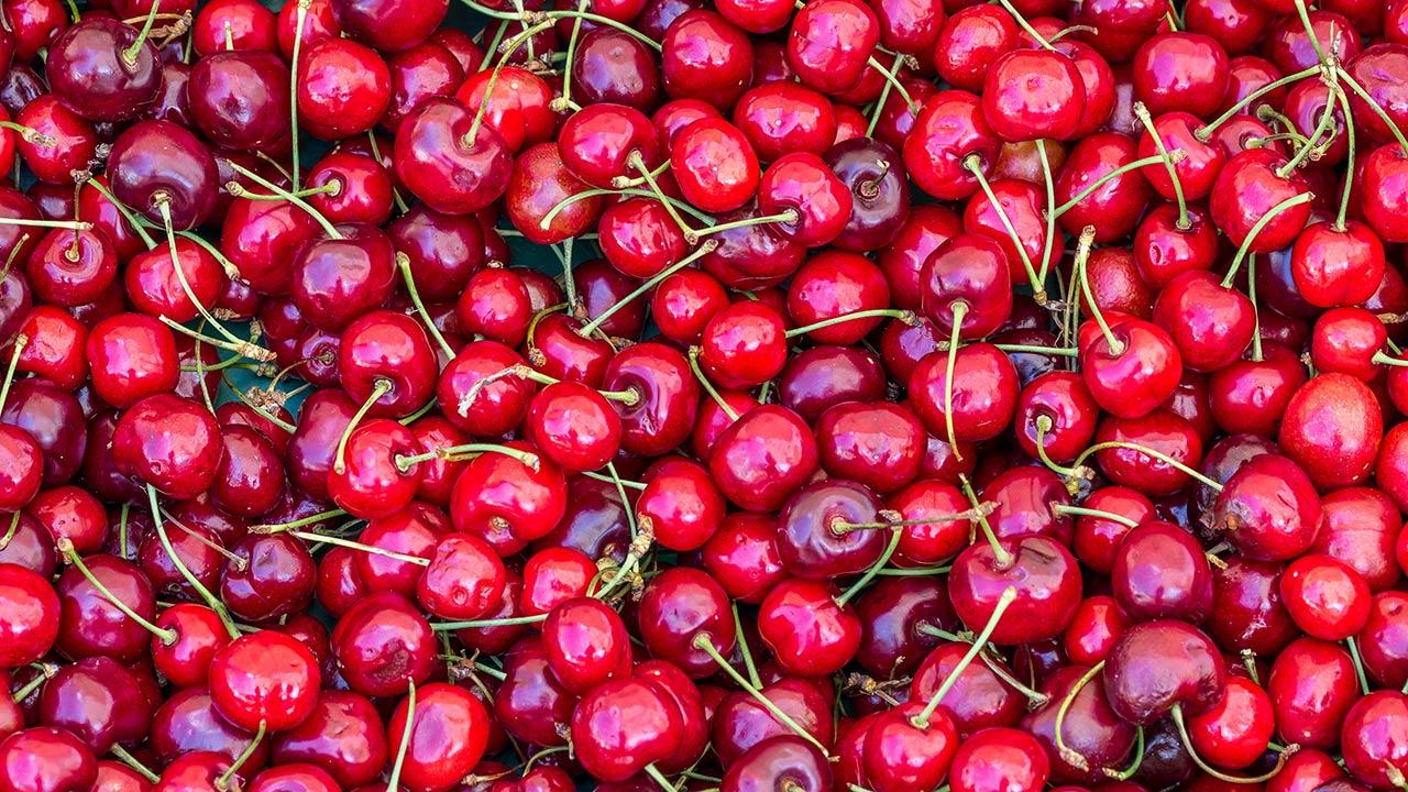 stole stum Dovenskab Er kirsebærsaften giftig? | Samvirke