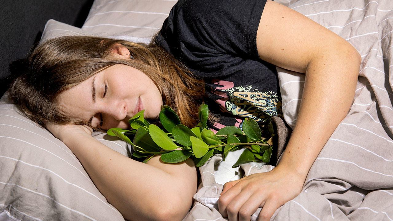 Laura ligger i sengen med sin stueplante