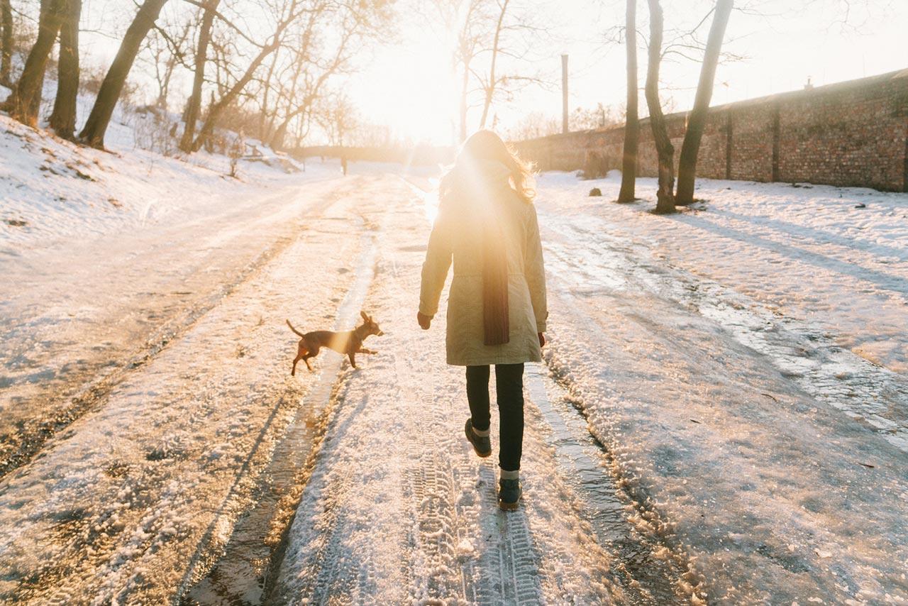 Kvinder der går i sneen med hund