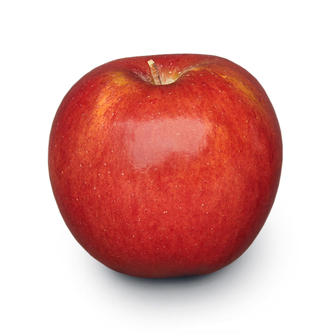 Envy er rødt og et forholdsvis nyt æble