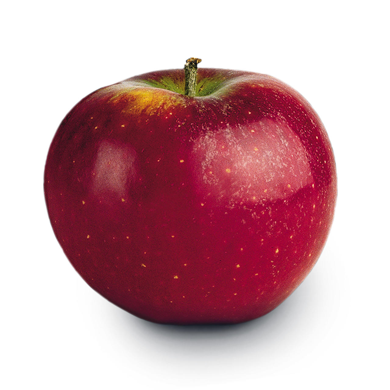 Ingrid marie er et dansk æble, der har sin oprindelse på Fyn