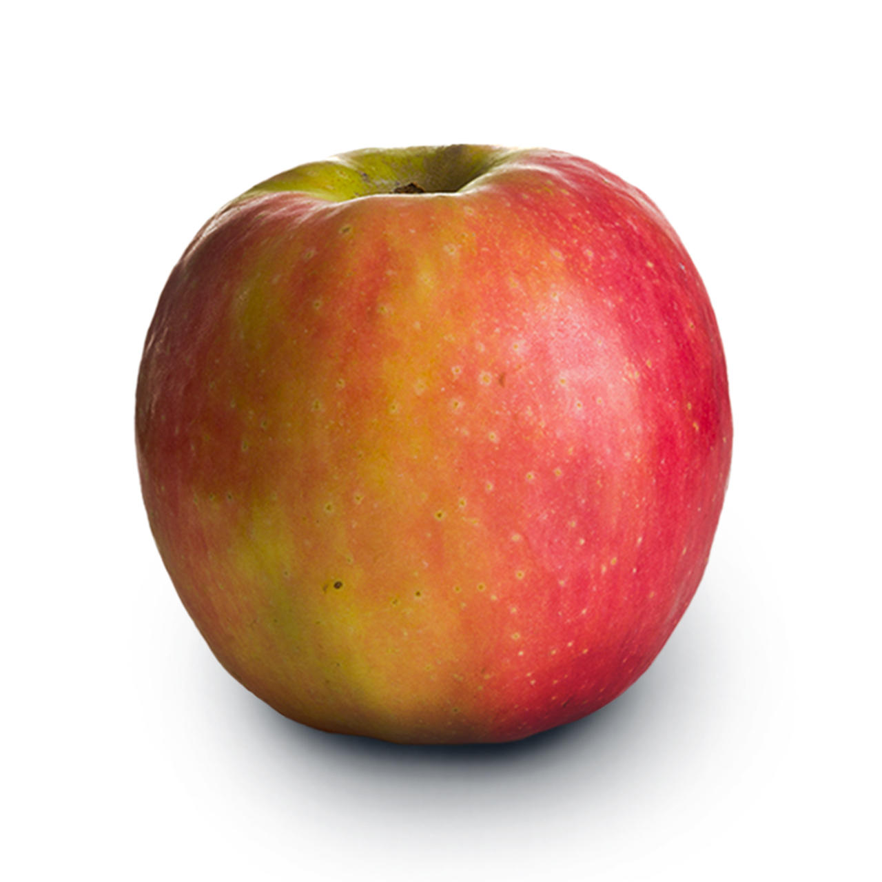 Pink Lady er i nogle lande det mest populære æble. I Danmark er Pink Lady i top 10.