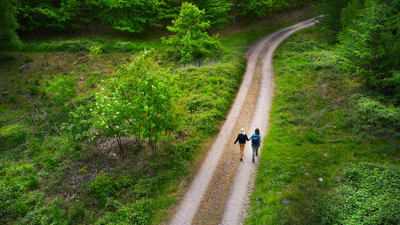 To personer gå gennem skoven