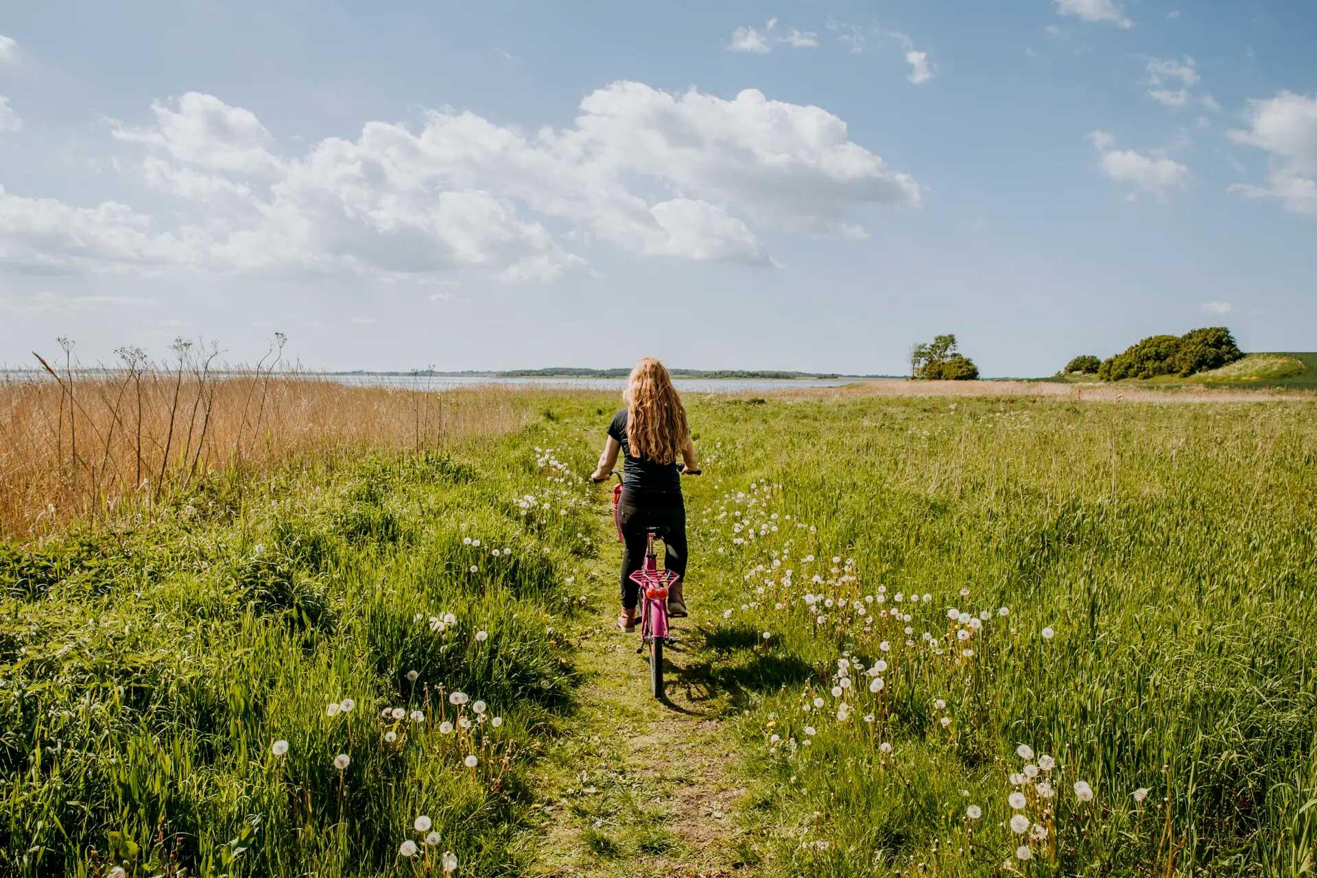 Cykling ved Roskilde
