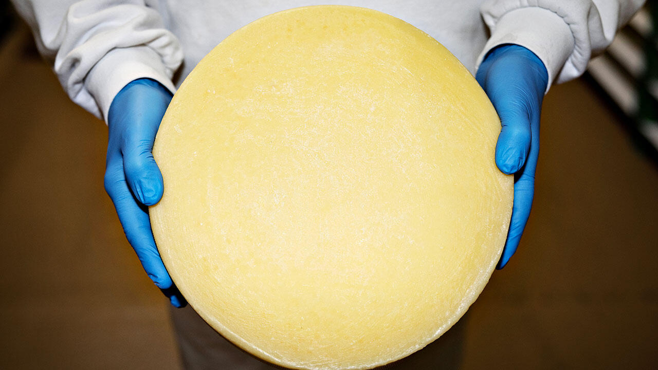 Vesterhavsost tæt på.