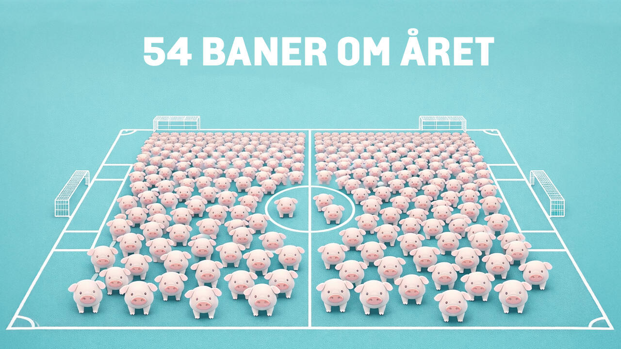 Illustration af grise på fodboldbane