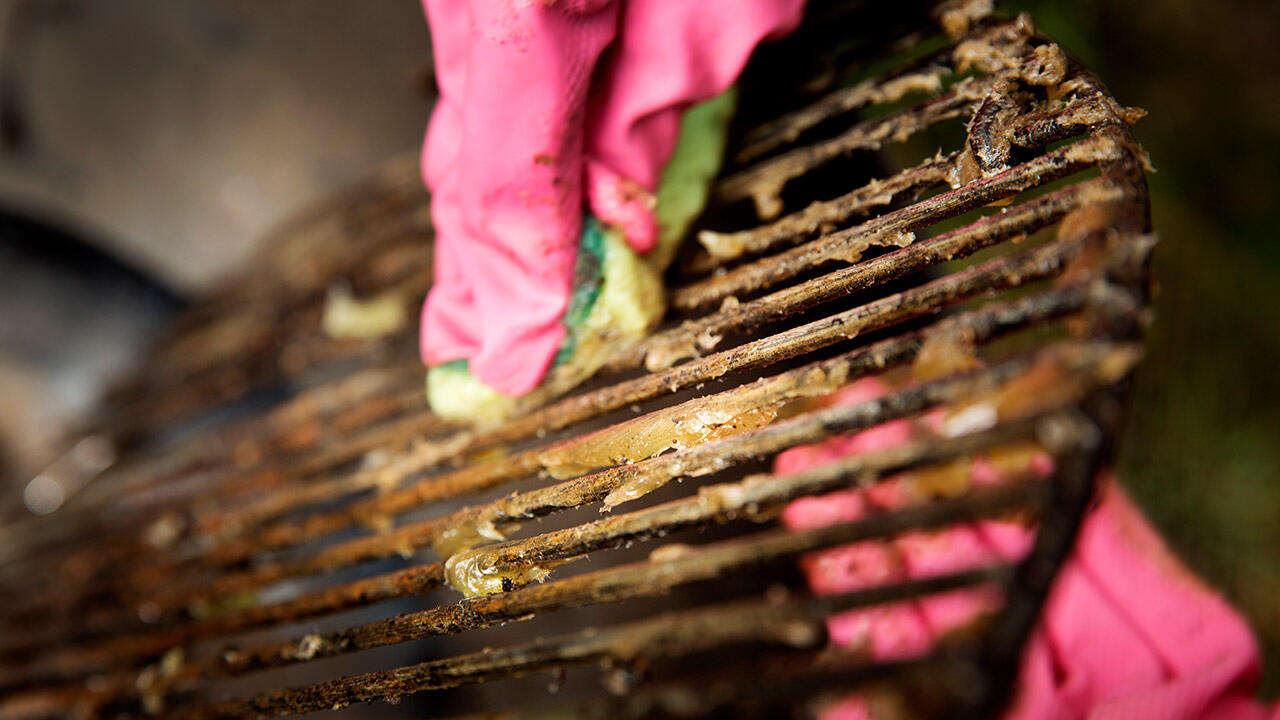 Brun rist på grillrist
