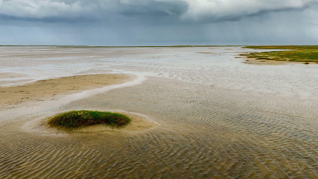 Vadehavet Nationalpark