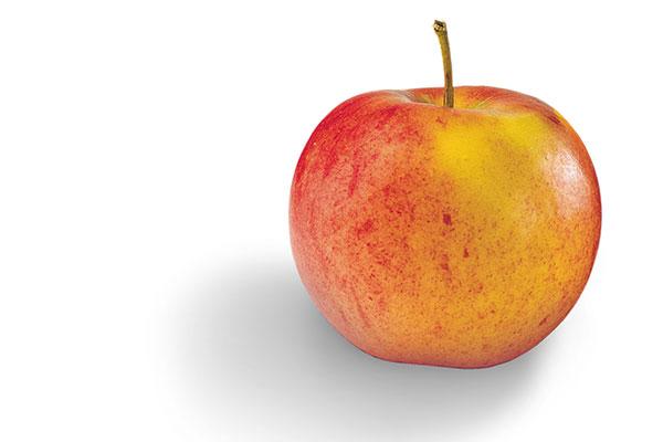 10 Favorit bler Hvorn r Kan De Plukkes Og K bes Samvirke 10 Favorit bler Hvorn r Kan De Plukkes Og K bes Samvirke