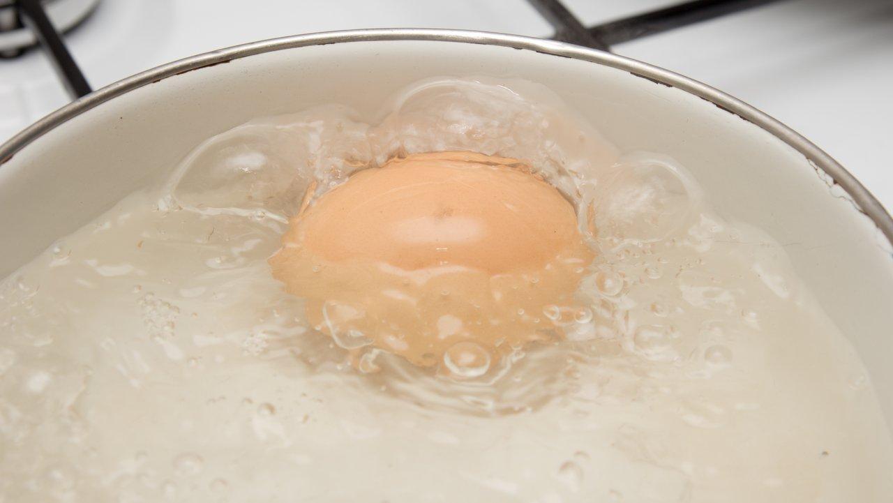 instruktør lineær frustrerende Sådan koger du ægget helt perfekt | Samvirke