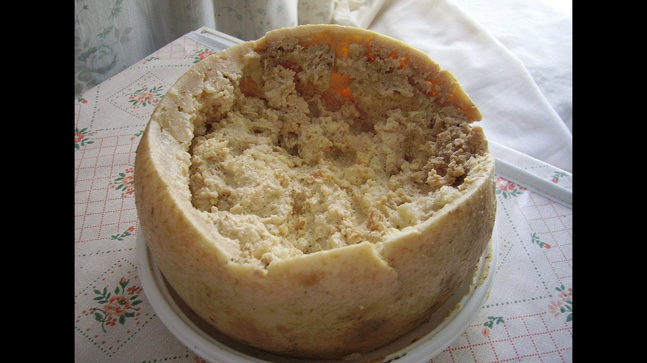 Billede af osten, som har en stor fordybning i midten fuld af mider og ostesnask