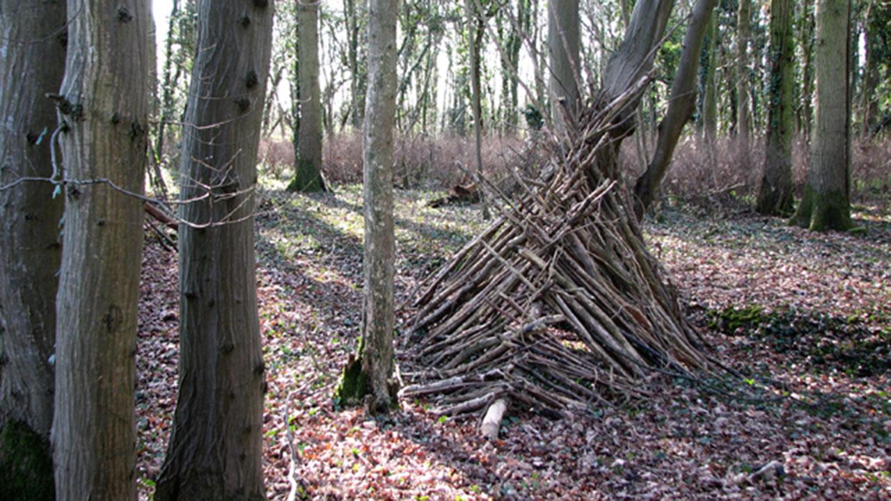 Kileformet lean-to shelter bygget i skov