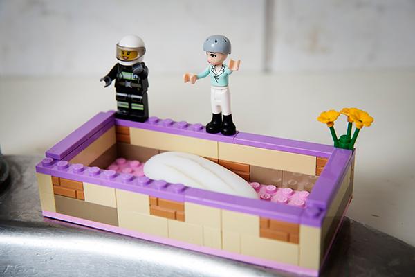 Saks tack Frø Lego: 10 sjove hverdagsting, du kan bruge legoklodser til | Samvirke